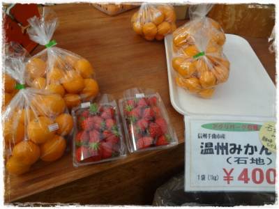 温室育ち(#^.^#)♪