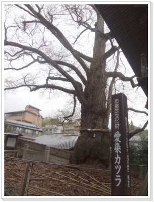 喜八から北向き観音へ