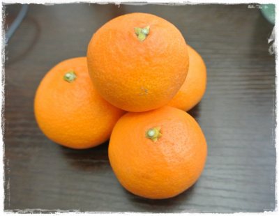 温室育ち(#^.^#)♪