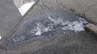 【水たまりに氷】