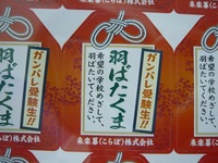 受験生への応援に・・・（おねえちゃん）