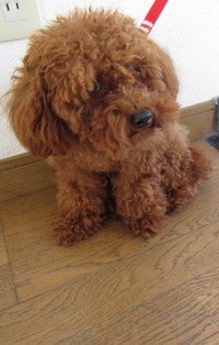 ドキドキしちゃったよ・・・