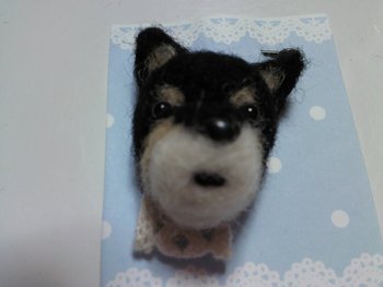 黒しばちゃん
