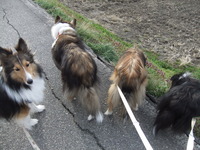 風が強くても、平気よ～ぉ