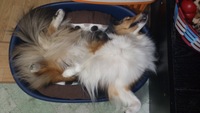テスト