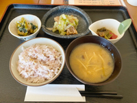 オーガニックレストラン　心幸食