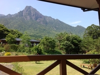 屋久島の癒し