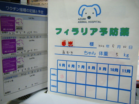 あずき日記