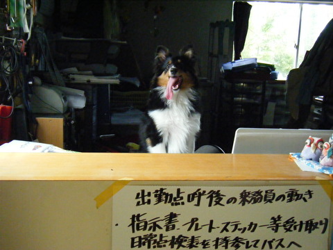 あずき日記・ただ今、仕事中！！