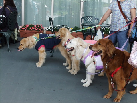 シリウスのみんなと、Ｗｏｏｆへ・・・