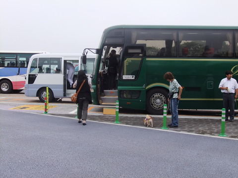 わん旅