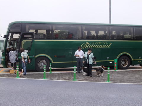 わん旅