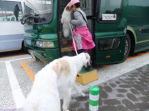 わん旅