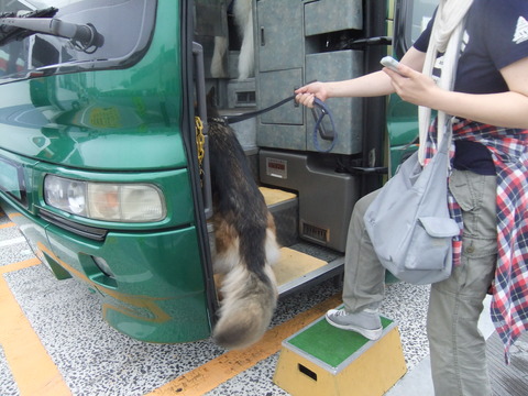 わん旅