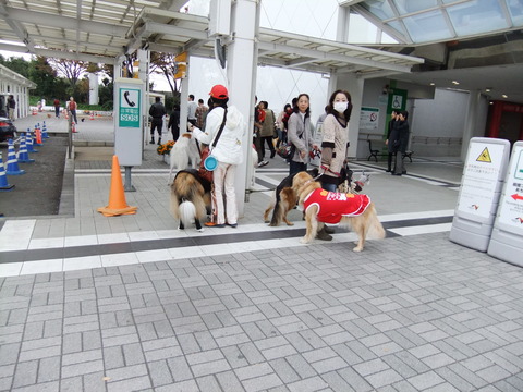 わん旅