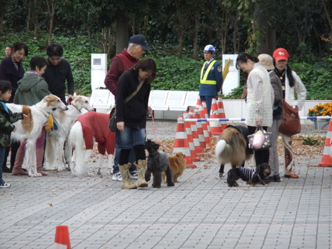 わん旅