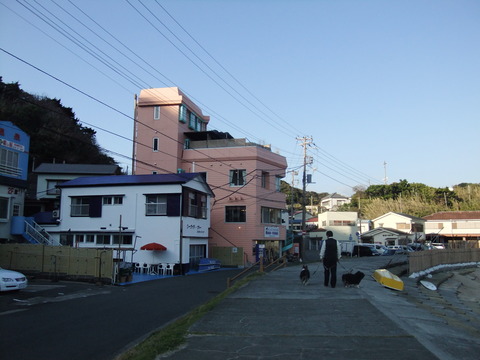 わん旅