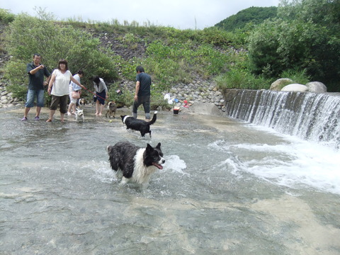 毎日、川でもいいよ～