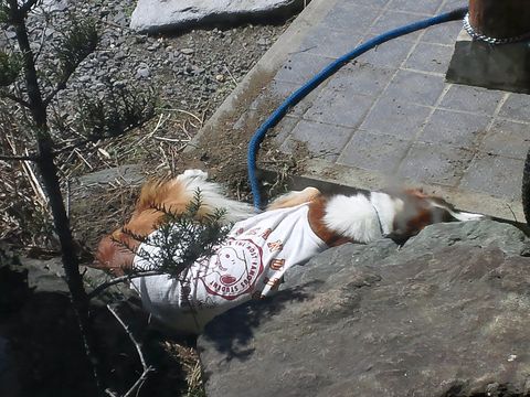 ニヒルな笑顔