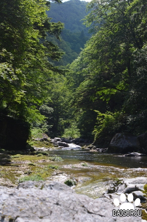 源流釣行