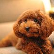 6年生になったら…ヾ(^▽^)ﾉ