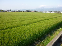 2011年05月29日