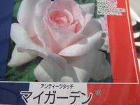 やってしまった！衝動買い（＾＾；）