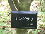 ここはどこ？でしょう
