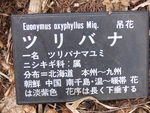 スピリチュアルスポット