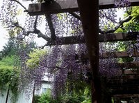 安曇野　松尾寺