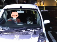 帰って来たヨッパライ