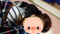 ある日の夜
