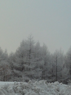 樹氷の朝３