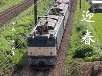 新春の御挨拶