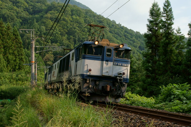 近過ぎて‥