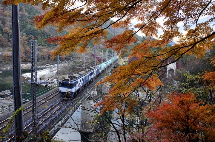 紅くなり初め
