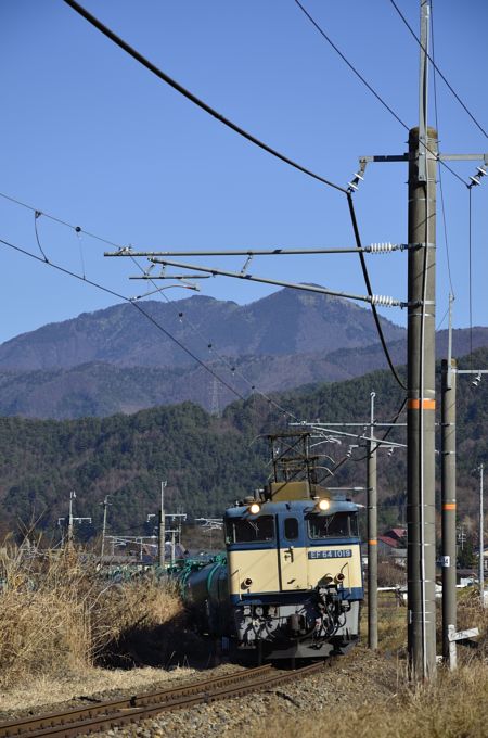 ﾀﾘｰｽﾞｺｰﾋｰLEDストラップ