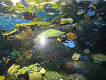 新潟市水族館　マリンピア日本海　