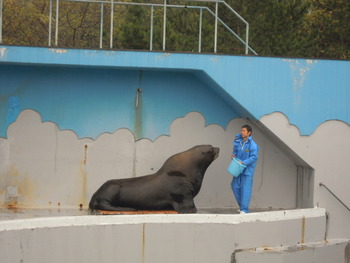 新潟市水族館　マリンピア日本海　