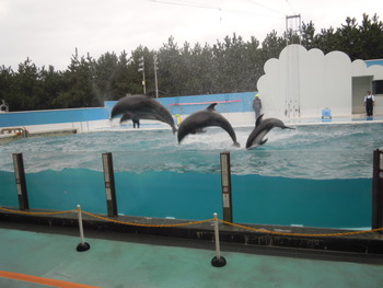 新潟市水族館　マリンピア日本海　