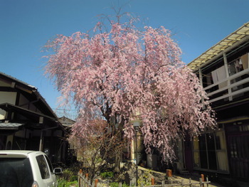 昨日の陶芸イベントコンパ！