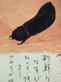 採りたてのなすび
