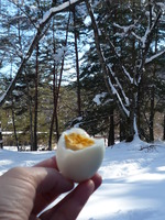 どこでもキッチン　どこでも食卓