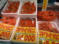市場と鮮魚と食欲と