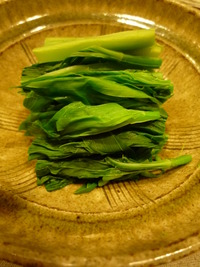 春の味覚・山菜
