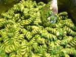 虹色・菜食色ごはん