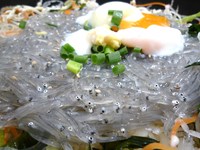 湘南の海とその幸