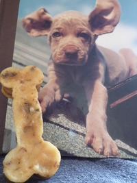Herb　Soap　for　dear pet