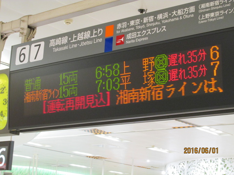 東京に行ったら悲劇