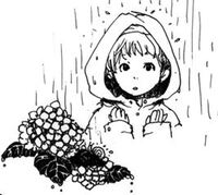 5月25日フリマ中止のお知らせ 5月25日フリマ中止のお知らせ